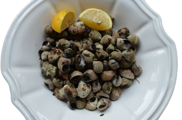 Periwinkles