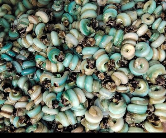 Periwinkles