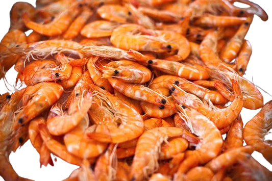 Prawns